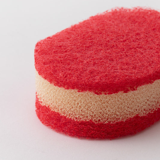 la base(ラバーゼ) スポンジ R/W